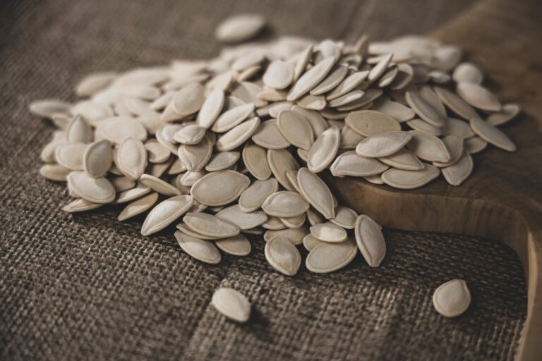 proteína tem em 50g de extrato de soja